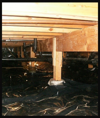 Crawlspace Cleanup